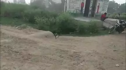 मांट: भदनबारा गांव में नाले पर हुआ अवैध कब्जा, बारिश से पहले नाले की सफाई कराने की ग्रामीणों ने की मांग #jansamasya