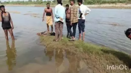 झरी जामणी: पैनगंगा नदीपात्रात खातेरा येथील विवाहित महिलेची आत्महत्या
