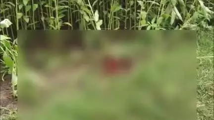 কৃষ্ণনগর ১: ভাজনঘাট টুঙ্গি এলাকায় উদ্ধার অজ্ঞাত পরিচয় মহিলার রক্তাক্ত মৃতদেহ, নিয়ে আসা হল জেলা হাসপাতাল শক্তিনগর পুলিশ মর্গে