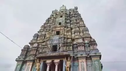 வேதாரண்யம்: கோடியக்காடு அமிர்தகடேஸ்வரர் ஆலய வைகாசி விசாகத் திருவிழாவை முன்னிட்டு கொடி ஏற்றும் நிகழ்ச்சி நடைபெற்றது