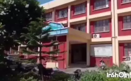 जवाली: भरमाड़ में बेसहारा बैलों के साथ बाइक की टक्कर में बाइक चालक की टूटी टांग, लुधियाना में चल रहा उपचार