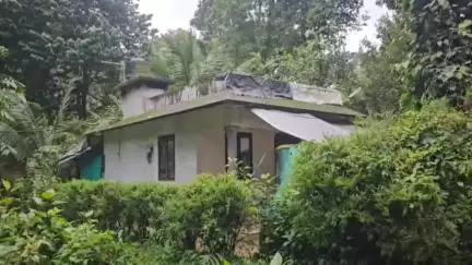 ദേവികുളം: അടിമാലി വാളറ കുളമാൻകുഴി മേഖലയിൽ കാട്ടാന ശല്യത്താൽ പൊറുതിമുട്ടി കുടുംബങ്ങൾ #localissue