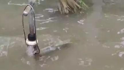 করিমগঞ্জ: বন্যার পরিস্থিতি মোকাবিলায় শ্রীভূমির সদর সার্কেল অফিসারের সঙ্গে সাক্ষাৎ করলেন কংগ্রেসের প্রতিনিধি দল #jansamasya