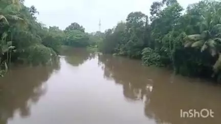 കുട്ടനാട്: കുട്ടനാട്ടിലെ വെള്ളപ്പൊക്കം, വെള്ളം സമയബന്ധിതമായി കടലിലേക്കൊഴുക്കാൻ നടപടി സ്വീകരിക്കണമെന്ന ആവശ്യം ശക്തം #Iocalissue