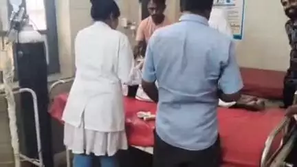 पिंडवाड़ा: काछोली गांव के पास 33 केवी विद्युत लाइन की चपेट में आने से पशुपालक झूलसा पेड़ की डाली काटते समय हुआ हादसा