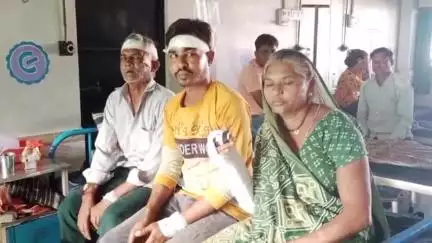 હાલોલ: રાણીપુરા ગામે મકાઈના પૈસાની ઉઘરાણી બાબતે 2 સગા ભાઈઓએ ધારીયુ અને ટોમી વડે 3 લોકોને માર મારતા નોંધાઈ ફરિયાદ