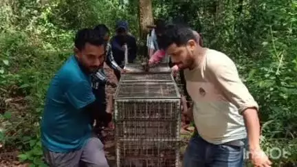नैनीताल: वन प्रभाग के अंतर्गत मनोरा रेंज में गुलदार ने महिला को बनाया निवाला, भूजियाघाट व आसपास के क्षेत्र में दहशत का माहौल