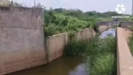ಗೌರಿಬಿದನೂರು: ನಗರದ ಹೊರವಲಯದ ಕಿಂಡಿ ಹಣೆಕಟ್ಟು  ತ್ಯಾಜ್ಯದಿಂದ ಮೀನುಗಳ ಮರಣ ಹೋಮ ನಗರದಲ್ಲಿ ಆಕ್ರೋಶ
