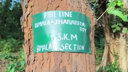 ତେଲକୋଇ: ଝାରବେଡ଼ା ଜଙ୍ଗଲ ରେ ସାତଟିକିଆ ହାତୀ ପଲ , ତେଲକୋଇ
ବନ ବିଭାଗ ରଖିଛି ନଜର