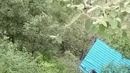 पन्ना: आंधी-पानी का कहर: बृहस्पति कुंड में संतों की रसोई का टीन शेड उड़ा, दमचुआ में कई घर क्षतिग्रस्त
