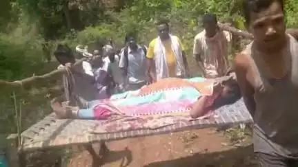 सिमडेगा: मारीकेल बाटीदिरी गांव में सड़क न होने से गर्भवती महिला को खटिया पर लादकर अस्पताल पहुंचाया गया