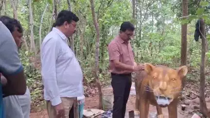 ସୋନପୁର: ସଦର ନଗର ବନ୍ଧ ପରିଦର୍ଶନ କଲେ ଜିଲ୍ଲା ବନଖଣ୍ଡ ଅଧିକାରୀ ମଦନଲାଲ ଶର୍ମା