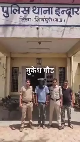 कोलारस: कोलारस के इंदार पुलिस ने सिंघारई माता मंदिर दानपेटी से नगदी चोरी करने बाले आरोपी आरोपी गोपाल लोधी पुत्र पहलवान लोधी