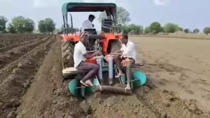 हिंगोली: वरूड येथे,शेती मशागतीच्या नंतर हळद लागवडीला सुरुवात