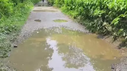 ধূপগুড়ি: বানারহাট ব্লকের ডুডুমারি থেকে জ্বালাপাড়া যাওয়ার দেড় কিলোমিটার রাস্তার বেহাল রাস্তার মেরামতের দাবি বাসিন্দাদের#jansamasya