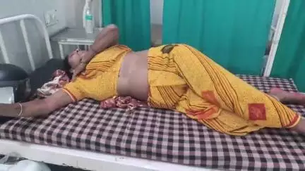 दतिया: जिले के लहार रोड पर सड़क हादसे में बाइक सवार महिला हुई घायल, भांडेर अस्पताल में उपचार जारी