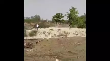 बेल्थरा रोड: फरसाटार गांव में नहर टूटने से किसानों के खेत हुए जलमग्न, धान की रोपाई पर पड़ेगा असर