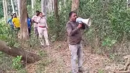 ଚମ୍ପୁଆ: ରଜିଆ ଜଙ୍ଗଲରେ ଦୁଇ ଟିକିଆ ହାତୀପଲ, ବନ ବିଭାଗର ତୀକ୍ଷ୍ଣ ନଜର