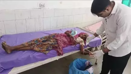 डूंगरपुर: माथूगामड़ा मार्ग पर रविवार दोपहर तीन बजे एक बुजुर्ग महिला पर कुत्ते ने किया हमला, महिला गिरी