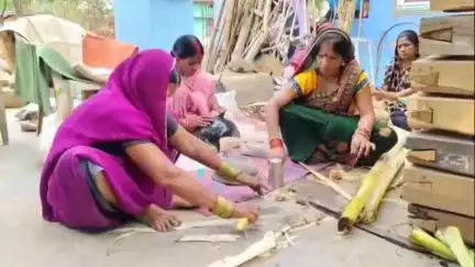बलौदा: बहेराडीह गांव में स्थित वरिष्ठ पत्रकार कुंजबिहारी साहू किसान स्कूल नवाचार के लिए पूरे देश में चर्चित