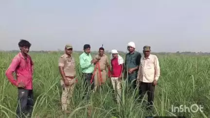 नजीबाबाद: वन विभाग नांगल गंगा खादर में अवैध कब्जाधारियों के खिलाफ सख्त हुआ, पहुंचकर की नापतौल