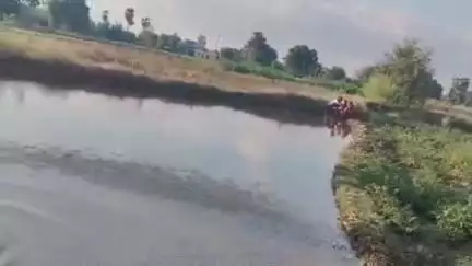 मखदुमपुर: रोहिणी नक्षत्र चढ़ते ही मखदुमपुर प्रखंड में धान का बिछड़ा डालने में आई तेजी