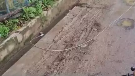 আমবাসা: আমবাসা বিবেকানন্দ নগরে ছিঁড়ে পড়া বিদ্যুতের তার, বড় দুর্ঘটনার আশঙ্কা #jansamasya