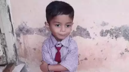 जळगाव: नागेश्वर नगरात कुत्र्याने लचके तोडल्याने 4 वर्षीय बालकाचा मृत्यू; नातेवाईकांचा आक्रोश