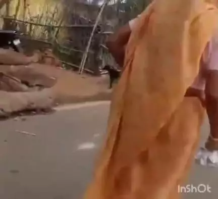 सिंगरौली: कोतवाली थाना क्षेत्र के बेलहवाटोला में खुलेआम गांजा बिक रहा है, वीडियो सोशल मीडिया पर वायरल