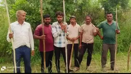 चांदपुर: नूरपुर की ग्राम नुक़दीपुर में रात्रि 05:00 बजे दिखाई दिए दो गुलदार, ग्रामीणों में मचा हड़कंप