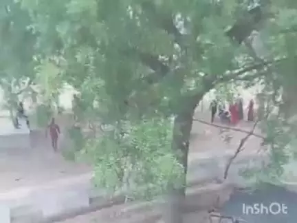 पलेरा: ग्राम मड़री में दो पक्षों के बीच हुई मारपीट, वीडियो आया सामने