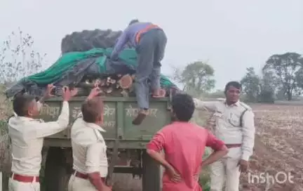 पेटलावद: झकनावदा में वन विभाग की टीम ने अवैध रूप से परिवहन करने के मामले में लकड़ी से भरी ट्रैक्टर-ट्रॉली को किया ज़ब्त