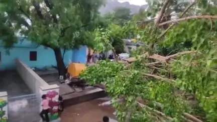 ಪಾವಗಡ: ಪಟ್ಟಣದಲ್ಲಿ ಮಳೆಗೆ ಧರೆಗುರುಳಿದ ಅರಳಿ ಮರ, ಮಳೆ ನೀರಿನ ಜೊತೆ ರಸ್ತೆಗೆ ಬಂದ ಚರಂಡಿ ನೀರು