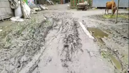 দিনহাটা ২: পাথরশনে বাম আমলের তৈরী বেহাল রাস্তায় পড়েনি পিচের চাদর, এমনি অভিযোগ গ্রামের বাসিন্দাদের #jansamasya