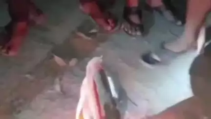 सहावर: गेंदूपुरा में पंचशील झंडा जलाने के मामले में सपा के पूर्व राष्ट्रीय प्रवक्ता अब्दुल हफीज गांधी ने की कार्रवाई की मांग