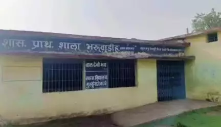 बलौदाबाज़ार: जिले में युक्तियुक्तकरण में गड़बड़ी, 7 साल से गैरहाजिर शिक्षक को अब तक मिल रहा वेतन व नियमित पढ़ाने वाली का हुआ तबादला