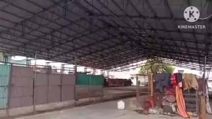 खुरई: सब्जी मंडी में दुकानदारों व थोक विक्रेताओं को पीने का पानी,केलाइट,सफाई व कॉम्प्लेक्स आदि की सुविधा नहीं है,#jansmasya