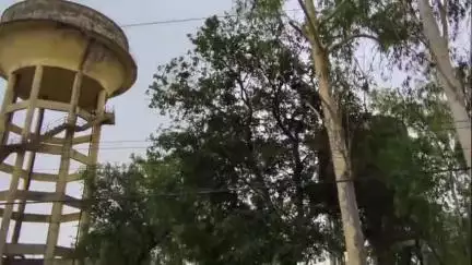 पाली: कस्बा पाली निवासी लोगों का आरोप जल संस्थान की लापरवाही के चलते कस्बे में की जा रही दूषित पेयजल की आपूर्ति #jansamasya