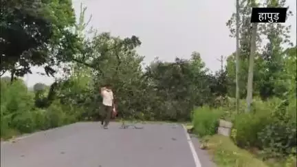 🛑हापुड़:-आंधी से गिरी स्ट्रीट लाइट, बच्ची गंभीर घायल,साप्ताहिक पैठ के दौरान आई तेज आंधी।
#viral #news