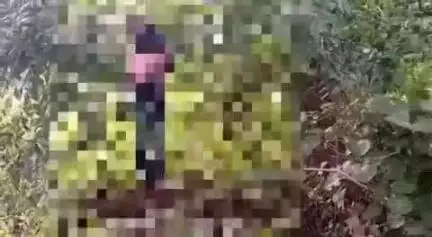 ओडगी: मलगो गांव में अज्ञात कारण से युवती ने लगाई फांसी, पुलिस ने मर्ग कायम कर जांच शुरू की