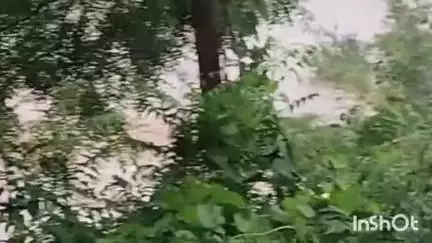 एकंगरसराय: केशोपुर पंचायत में लोकाईन नदी का तटबंध टूटा, डीएम-एसपी ने किया निरीक्षण