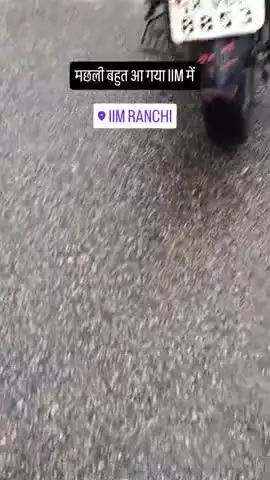 रांची झारखण्ड में पानी के साथ मछली भी रोड पर कूदे 🐟 #ranchi jharkhand Nayasarai