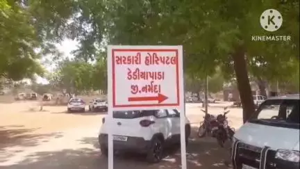 ડેડીયાપાડા: માલગામે ઝેરીસાપે ડંખ મારતા સારવાર મળે તે પહેલા યુવાનનું મોત દે.પો.મ નોંધાઈ ફરિયાદ