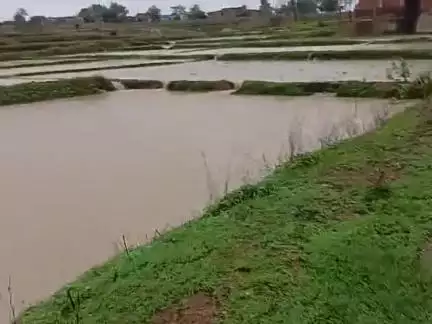 pani ka aakrosh sabhi kisan huye pareshan.