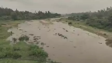 ભિલોડા: ઉપરવાસમાં ભારે વરસાદના કારણે ભિલોડા વિસ્તારમાં મેશ્વો નદીમાં આવ્યા નવા નીર