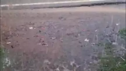 अंबिकापुर: झमाझम बारिश से मौसम खुशगवार, किसानों के चेहरे खिले