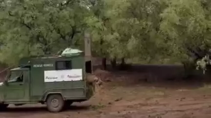 लाडपुरा: बाघ बचाओ, बाघ बढ़ाओ अभियान के तहत मुकंदरा टाइगर रिजर्व में 5 बाघ और छोड़े जाने की मांग, आंदोलन की चेतावनी