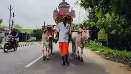 ପୁରୀ ମ୍ୟୁନିସିପାଲଟି: କାକଟପୁରର ଦେଉଳି ମଠରୁ ୩ଟି ଶଗଡ ଗାଡିରେ ଶ୍ରୀକ୍ଷେତ୍ର ଅଭିମୁଖେ ଅଣସର ଫଳ ଭାର ।