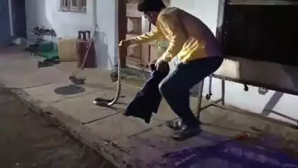 बड़वानी: ग्राम चैनपुरा में एक घर में घुसा कोबरा सांप, सर्प मित्र ने पकड़कर सुरक्षित जंगल में छोड़ा