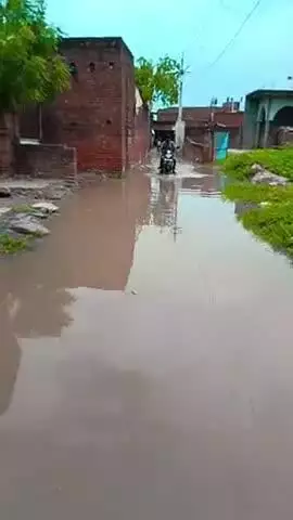 gram Sheikhpura khairagarh main pani gharo main bhar jata hai kahi se koe sunbahi nahi ho rahi hai
